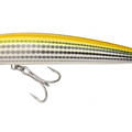 Yellow Mullet