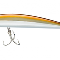 Sand Eel