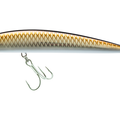 Bronze Shiner