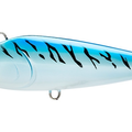 Blue Mackerel