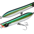 Mackerel