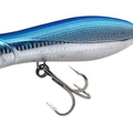 Holographic Bluegill