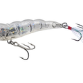 Holographic Ghost Shrimp