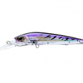Purple Mackerel