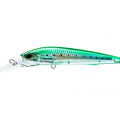 Sardine