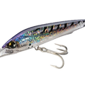 Purple Mackerel