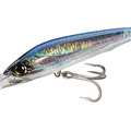 Blue Mackerel