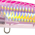 Pink Mackerel
