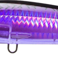 Midnight Mackerel
