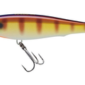 Bluegill