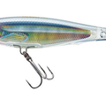 Holographic Ghost Shad