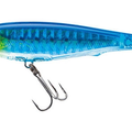 Holographic Sardine
