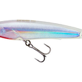 Holographic Ghost Shad