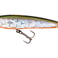 Holographic Tennessee Shad