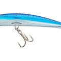 Blue Mackerel