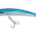 Sardine