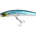 Sardine