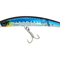 Sardine