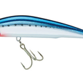 Chrome Sardine