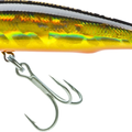 Golden Shiner