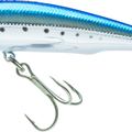 Sardine