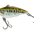 Bass