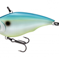 Citrus Shad