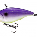Royal Purple Shad