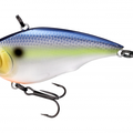 Sexy Shad