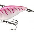 UV Pink Tiger