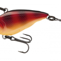 Hot Perch