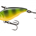 Green Perch