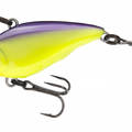 Purple Back Chartreuse
