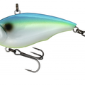 Citrus Shad