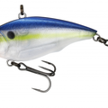 Sexy Shad