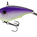 Royal Purple Shad