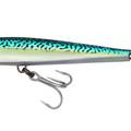 Green Mackerel