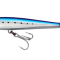 Sardine