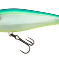 Citrus Shad