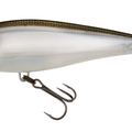Ghost Gizzard Shad
