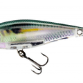 Real Gizzard Shad