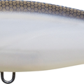 Matte Gizzard Shad