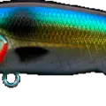 Pilchard