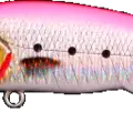 Pink Sardine