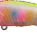 Rainbow Fluo