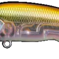 Tennessee Shad