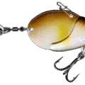 Ayu