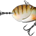Gold Tiger