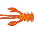 Orange Fluor