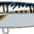 Mackerel